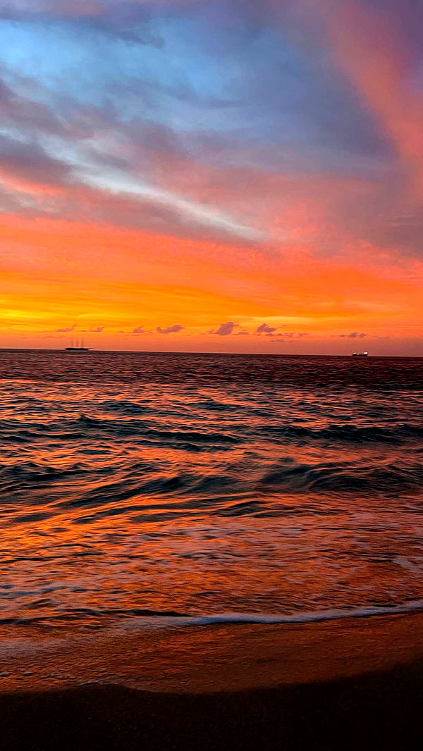 alisonbowles image ~ Altpins