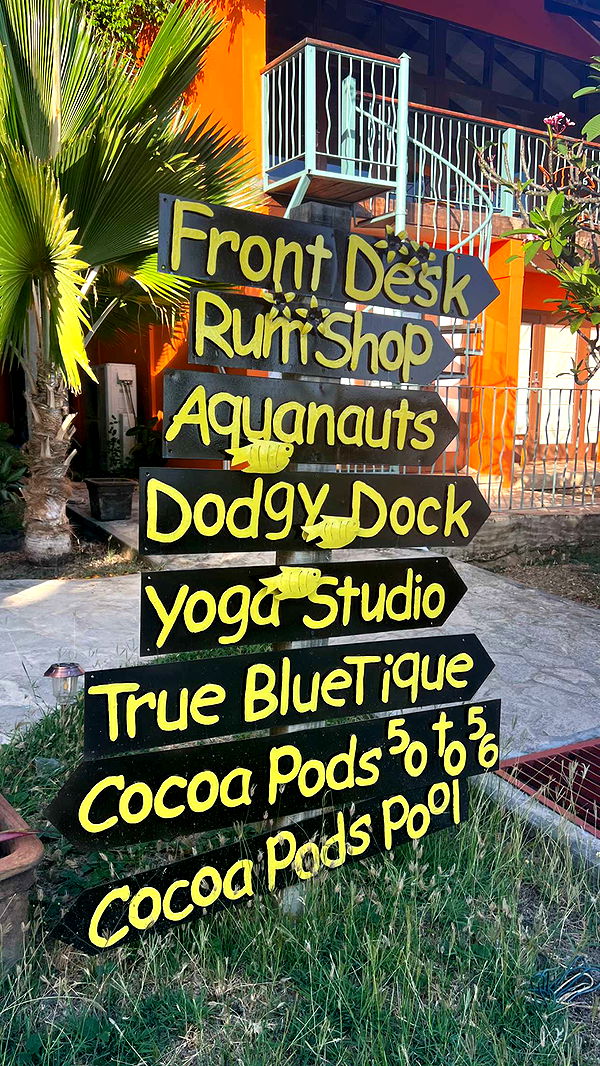 alisonbowles image ~ Altpins