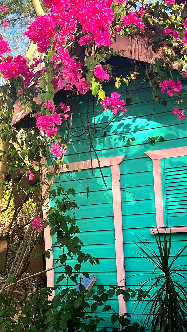 alisonbowles image ~ Altpins