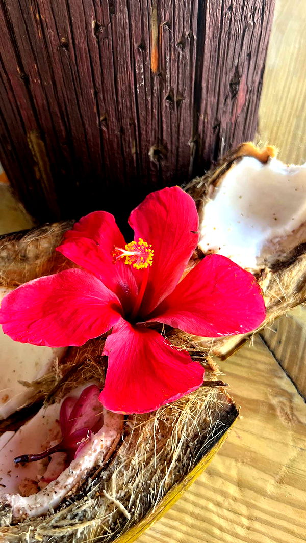 alisonbowles image ~ Altpins