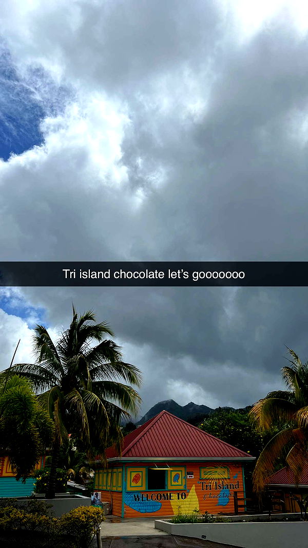 alisonbowles image ~ Altpins