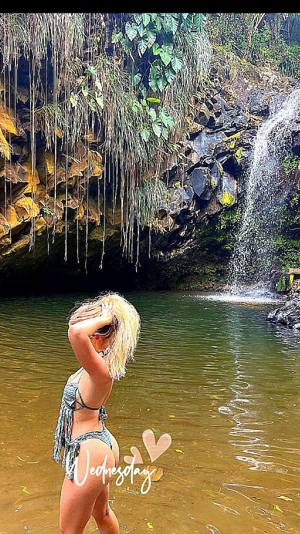 alisonbowles image ~ Altpins