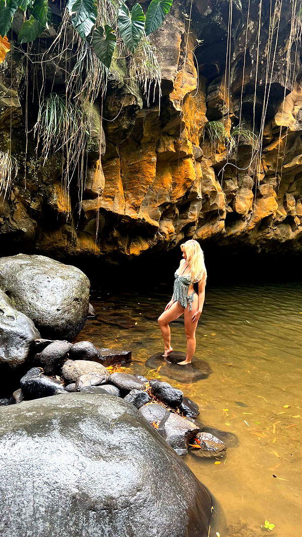 alisonbowles image ~ Altpins