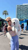alisonbowles Altpins Profile Picture