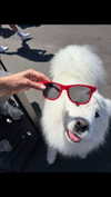 alisonbowles Altpins Profile Picture