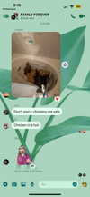 alisonbowles Altpins Profile Picture