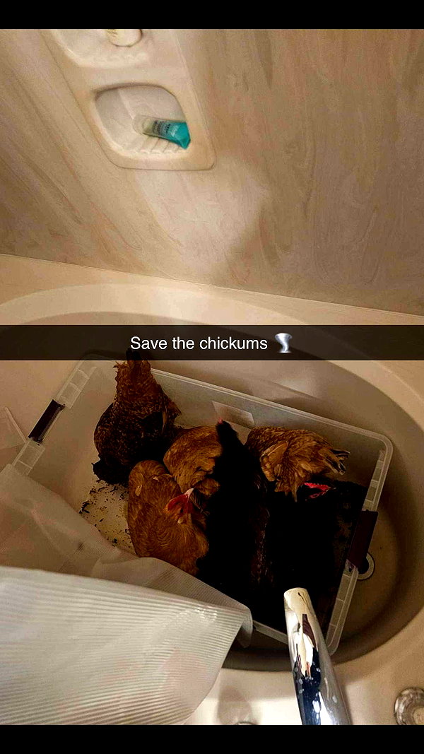 alisonbowles snapchat image archive image