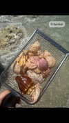 alisonbowles Altpins Profile Picture