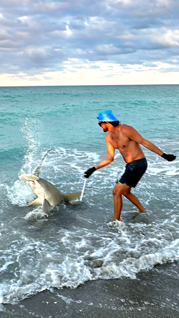 alisonbowles image ~ Altpins