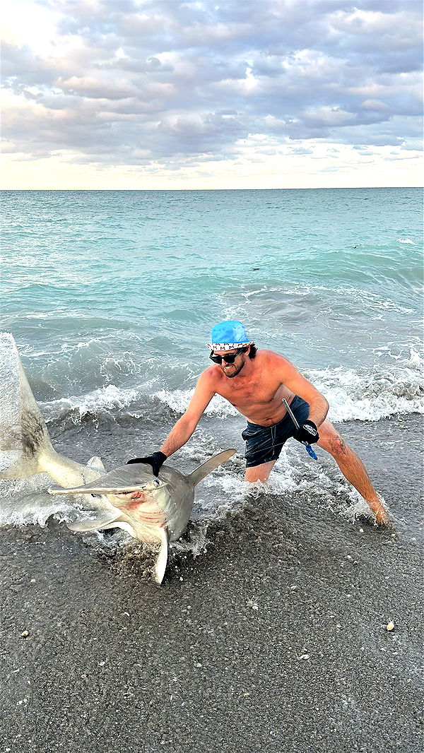 alisonbowles image ~ Altpins