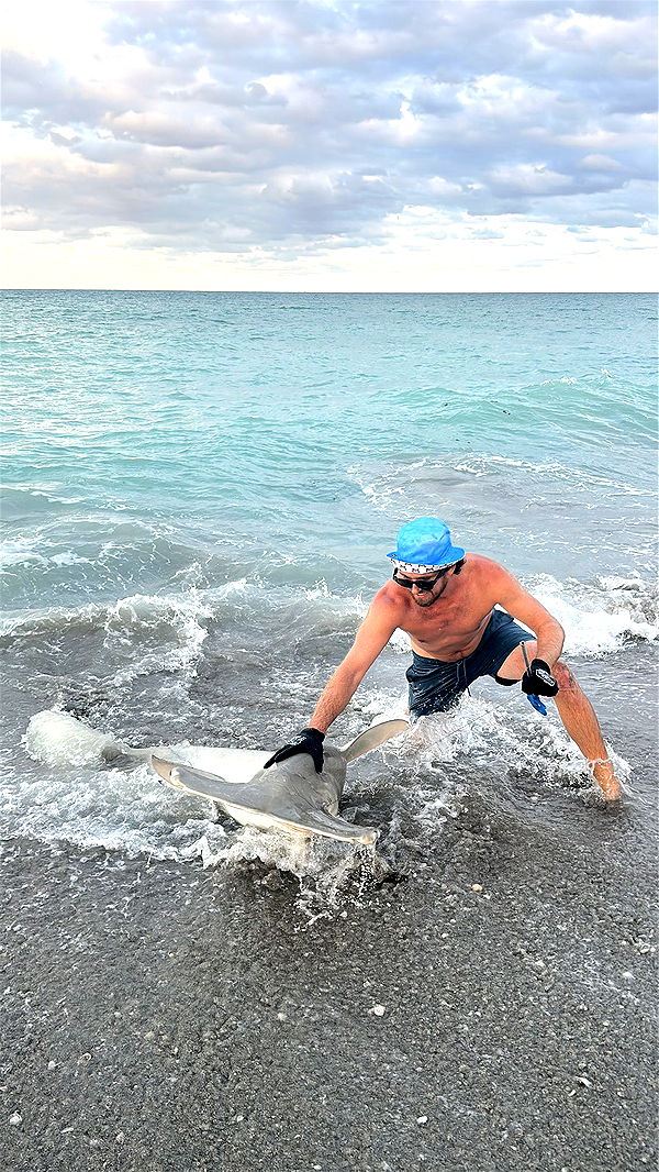 alisonbowles image ~ Altpins