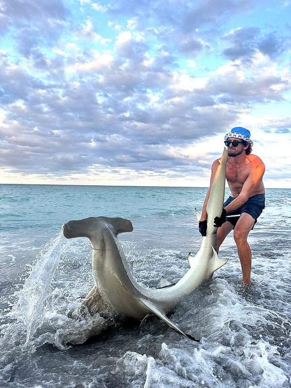 alisonbowles image ~ Altpins