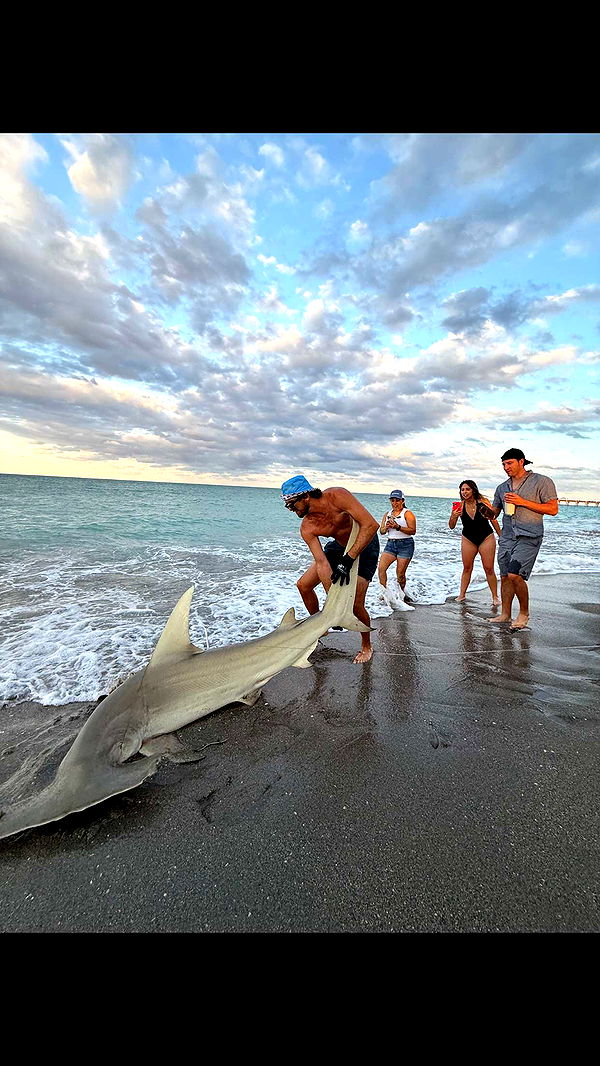 alisonbowles image ~ Altpins