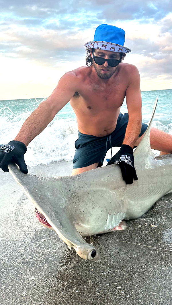 alisonbowles image ~ Altpins