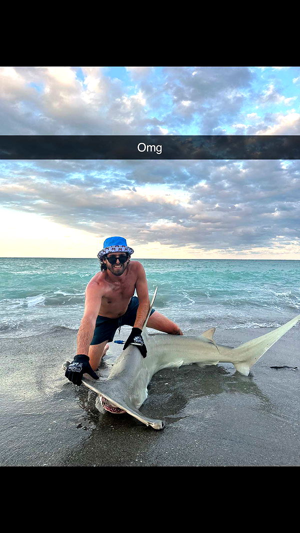 alisonbowles image ~ Altpins