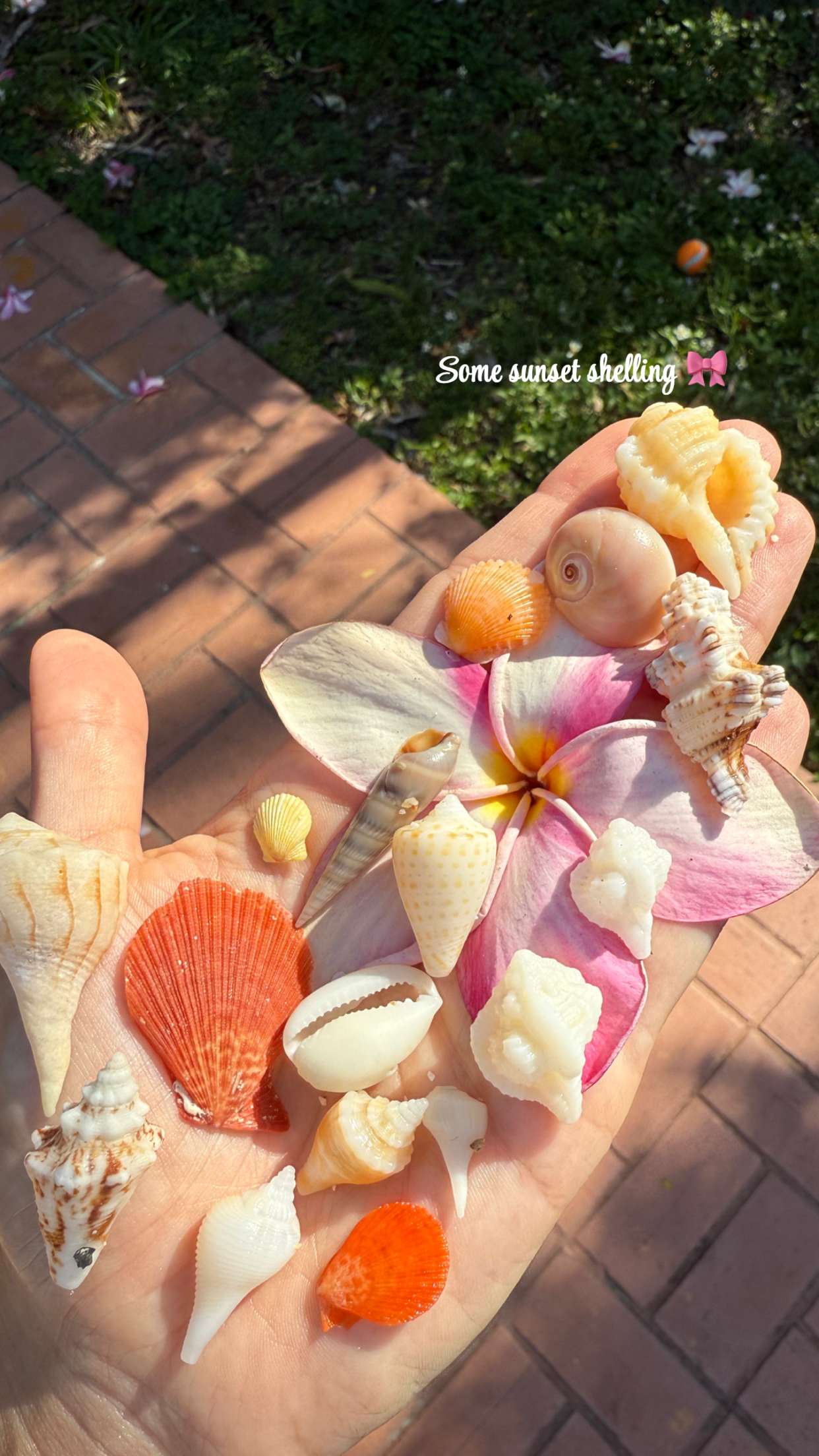 alisonbowles snapchat image archive image