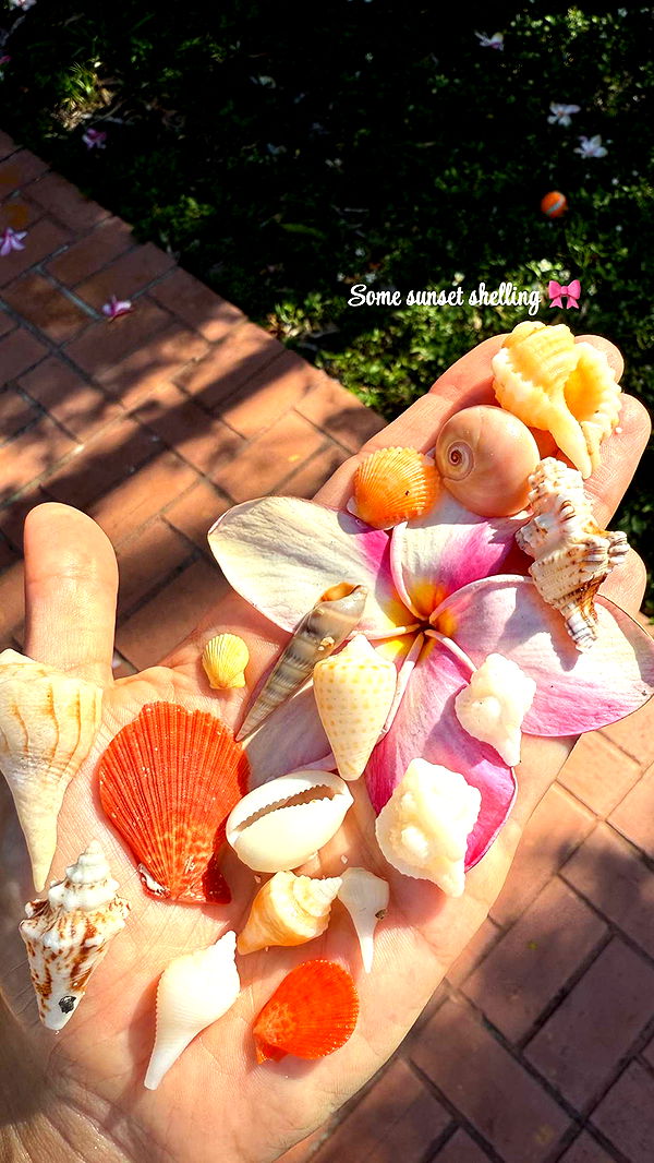 alisonbowles image ~ Altpins