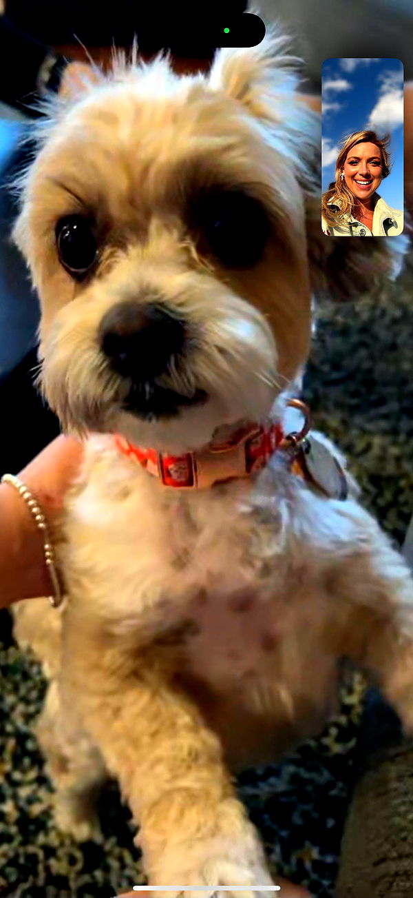 alisonbowles image ~ Altpins