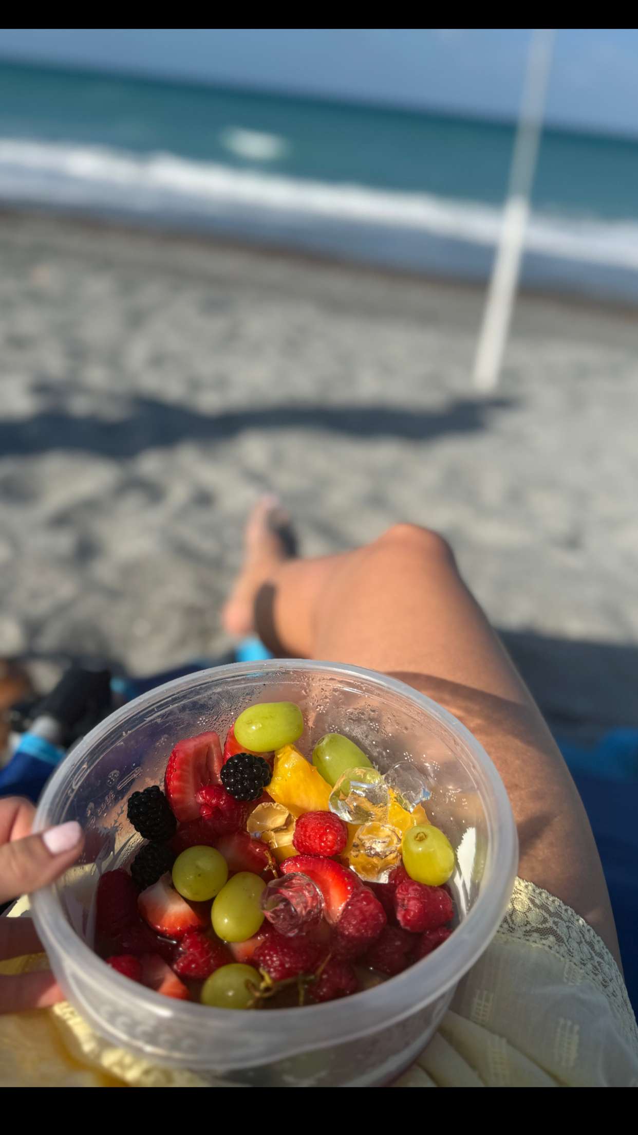 alisonbowles snapchat image archive image