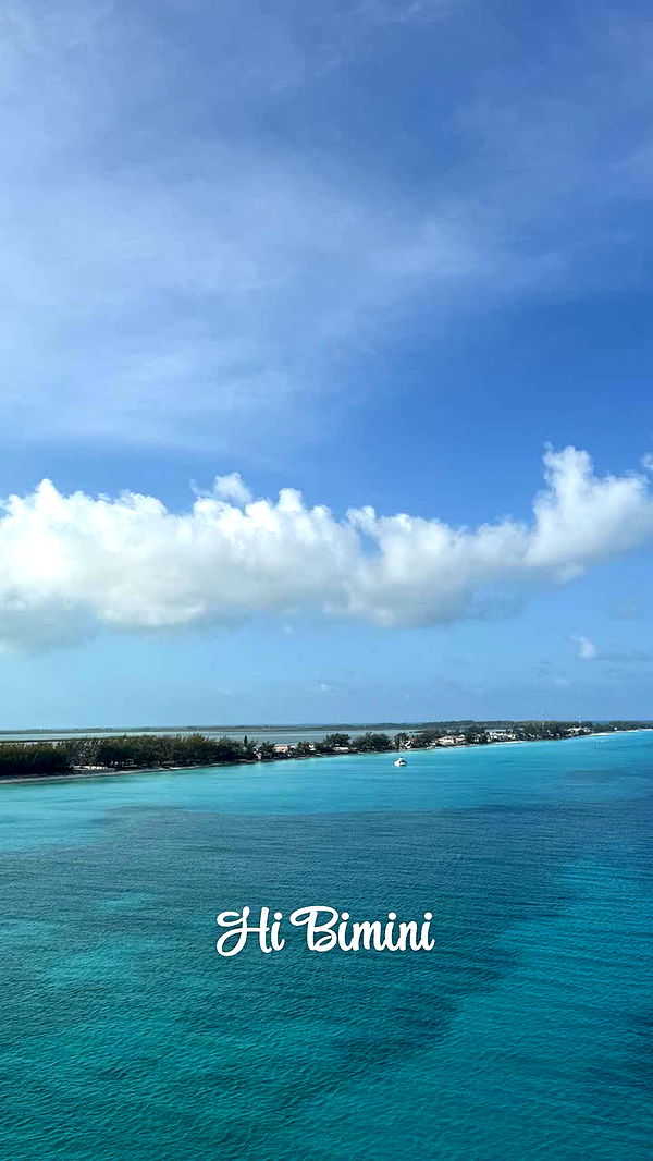 alisonbowles image ~ Altpins