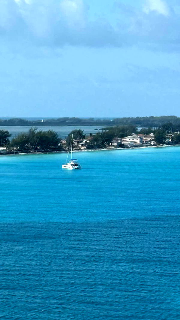 alisonbowles image ~ Altpins