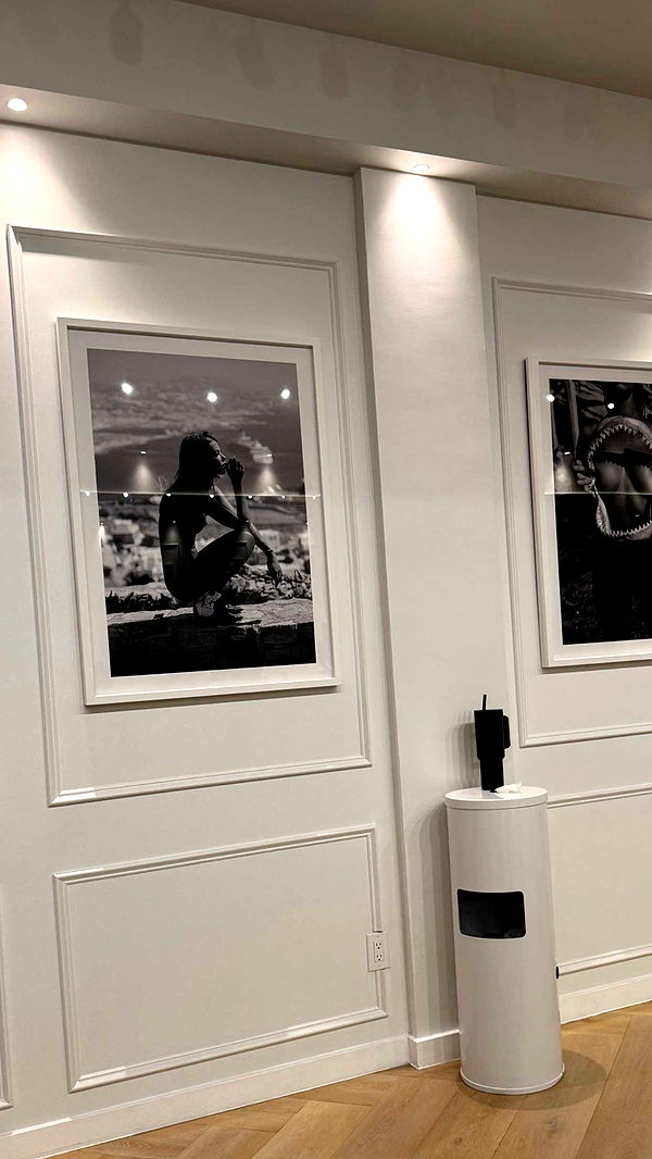 alisonbowles image ~ Altpins