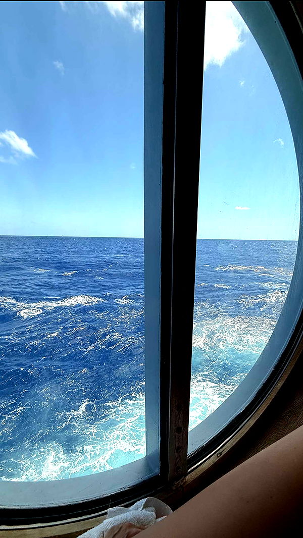 alisonbowles image ~ Altpins