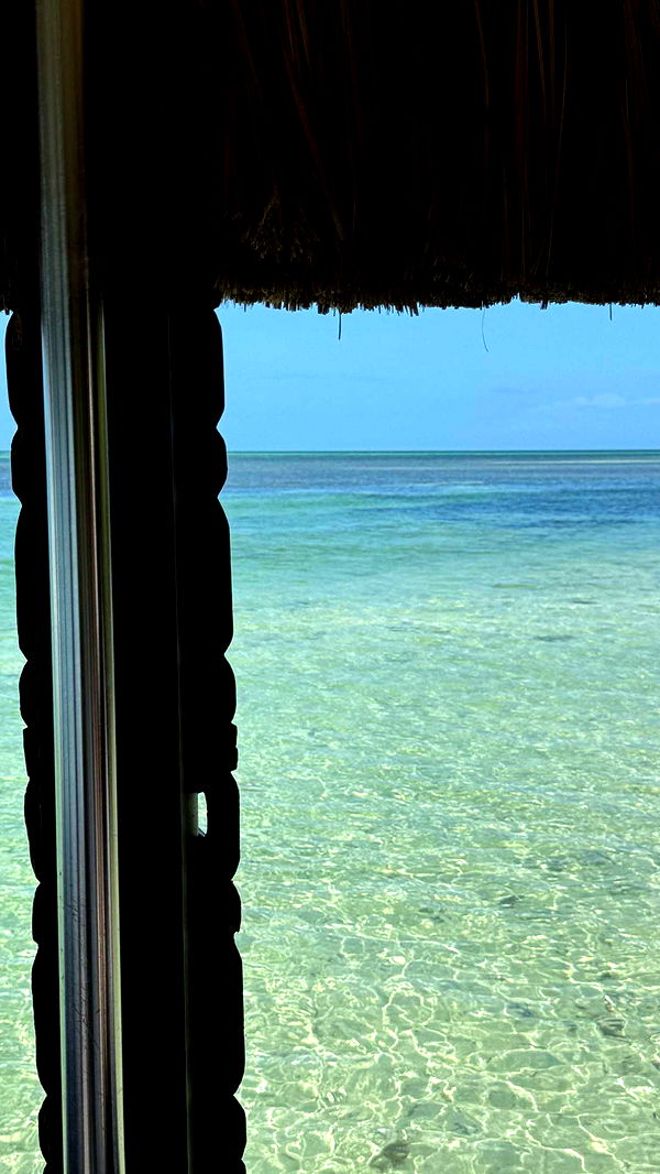 alisonbowles image ~ Altpins