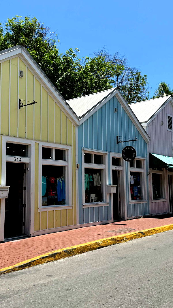 alisonbowles image ~ Altpins