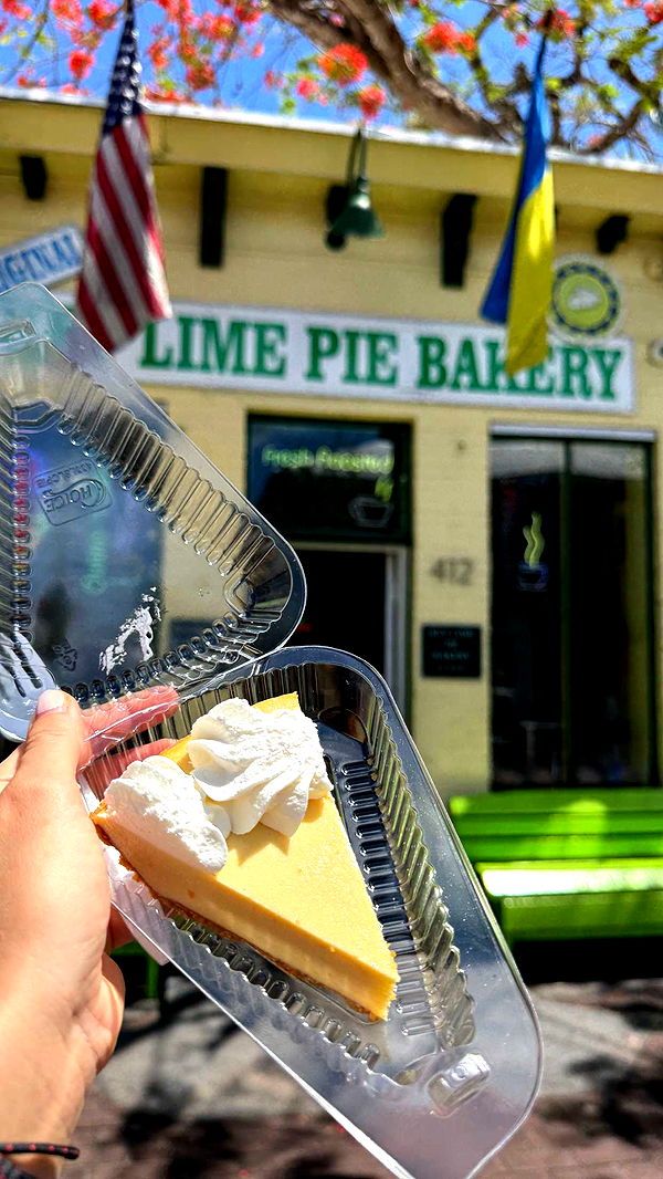 alisonbowles image ~ Altpins