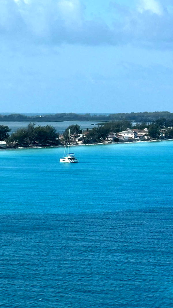 alisonbowles image ~ Altpins