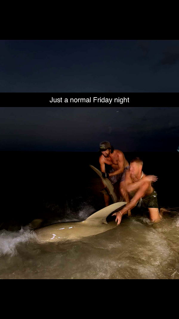 alisonbowles image ~ Altpins