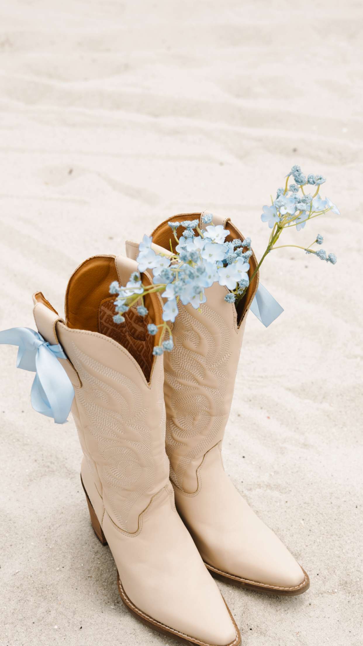 alisonbowles snapchat image archive image