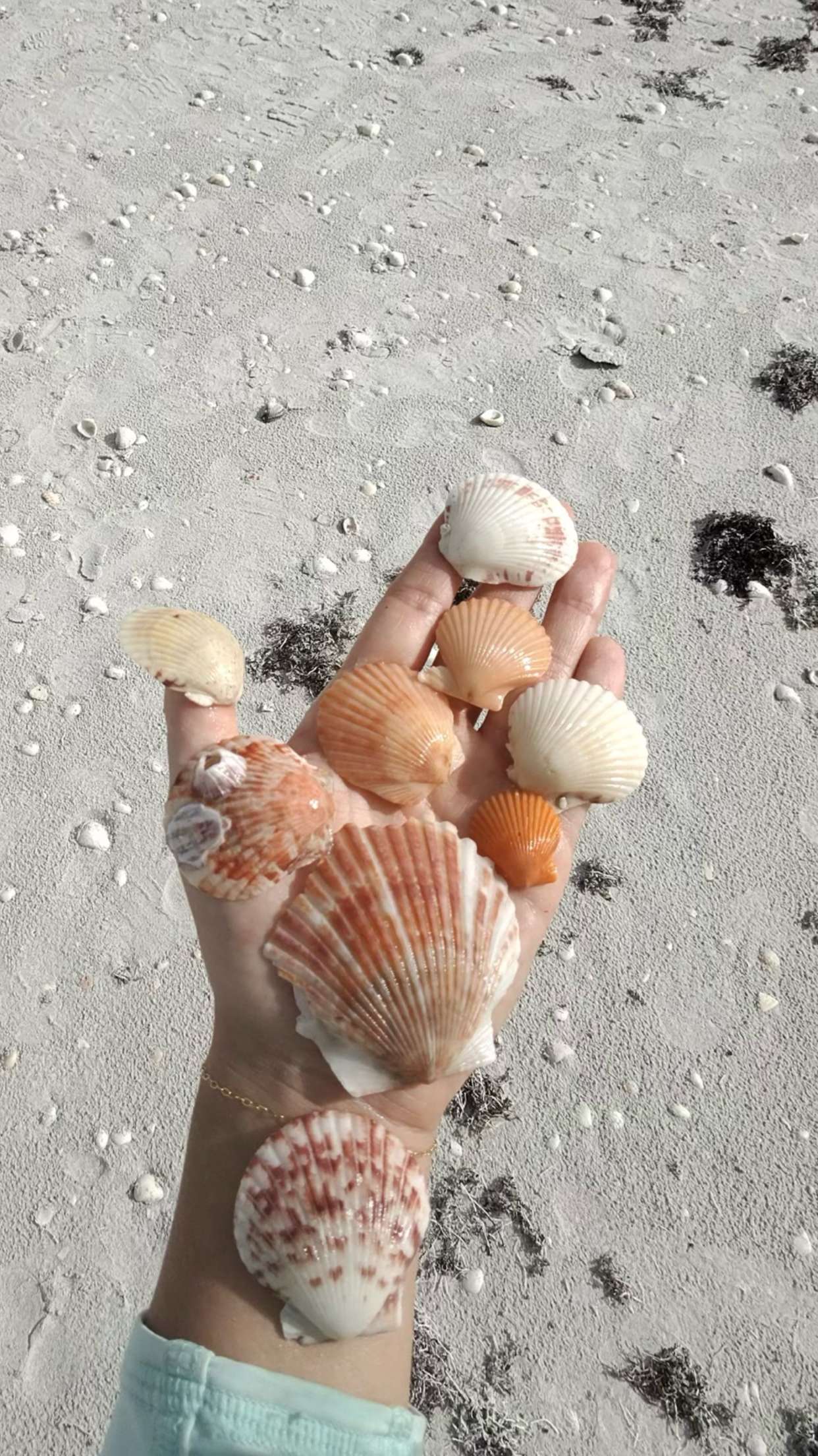 alisonbowles snapchat image archive image