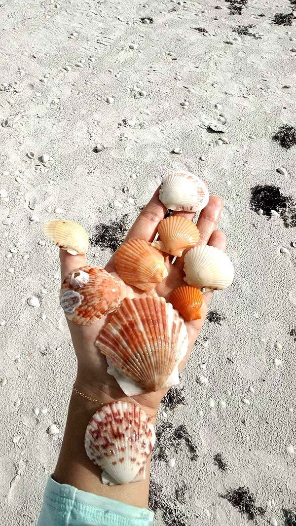 alisonbowles image ~ Altpins