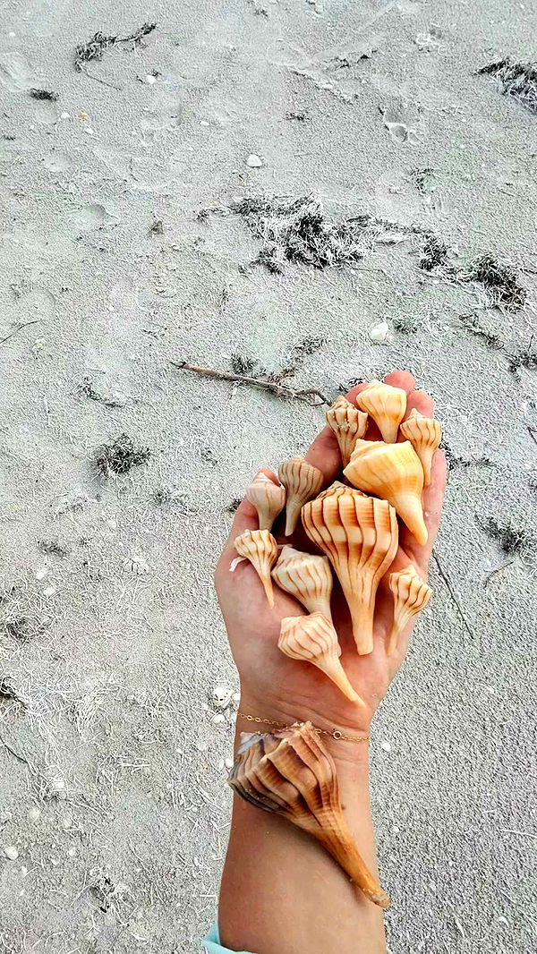 alisonbowles image ~ Altpins