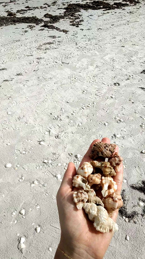 alisonbowles image ~ Altpins