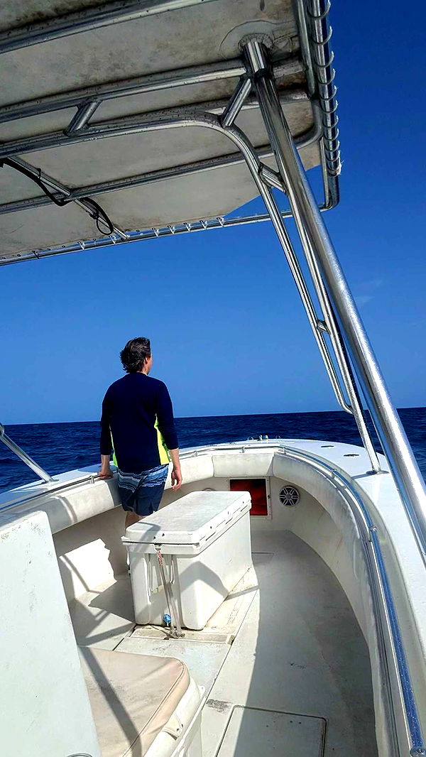 alisonbowles image ~ Altpins