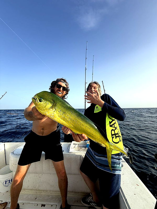 alisonbowles image ~ Altpins