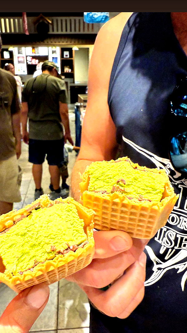 alisonbowles image ~ Altpins