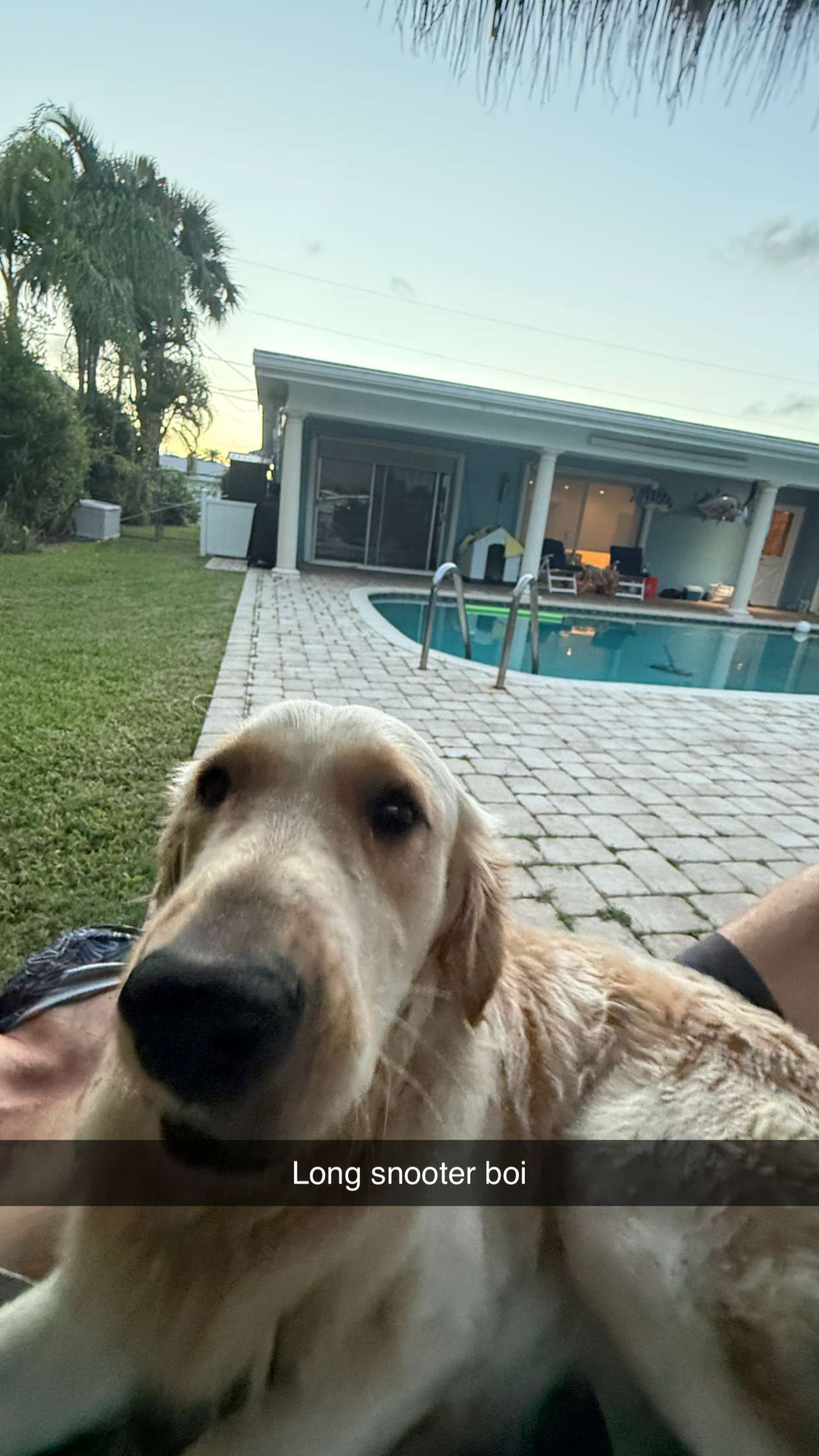 alisonbowles snapchat image archive image