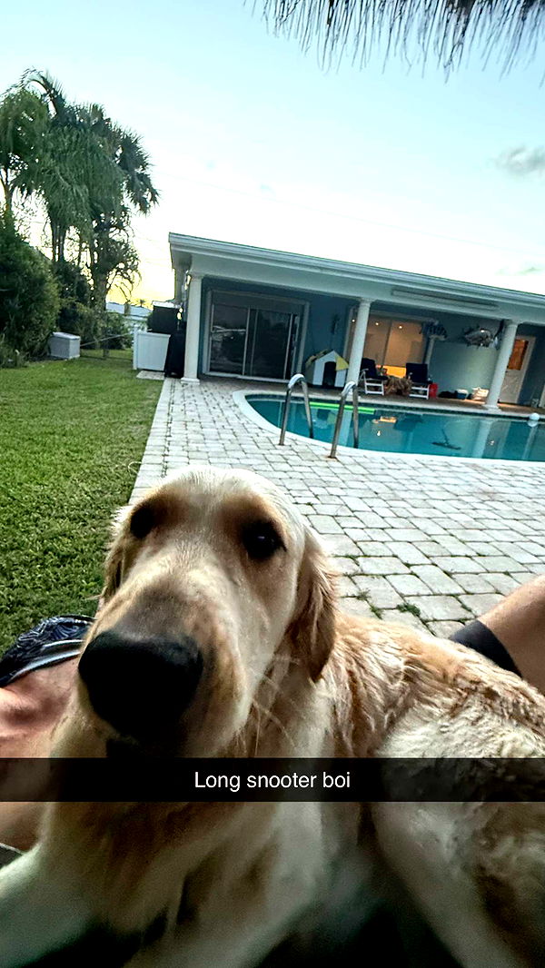 alisonbowles image ~ Altpins