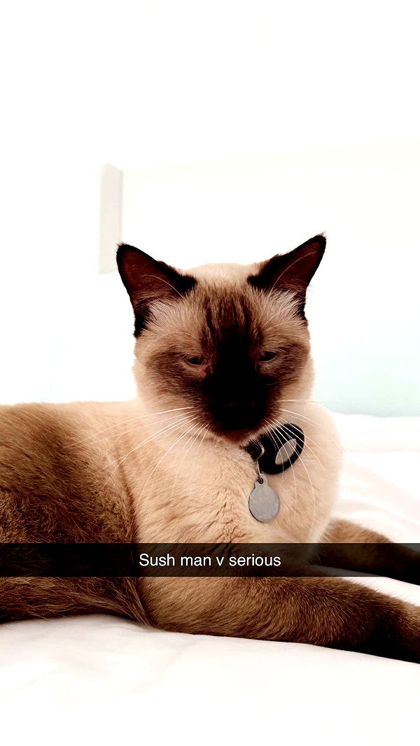 alisonbowles image ~ Altpins