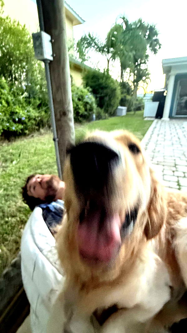 alisonbowles image ~ Altpins