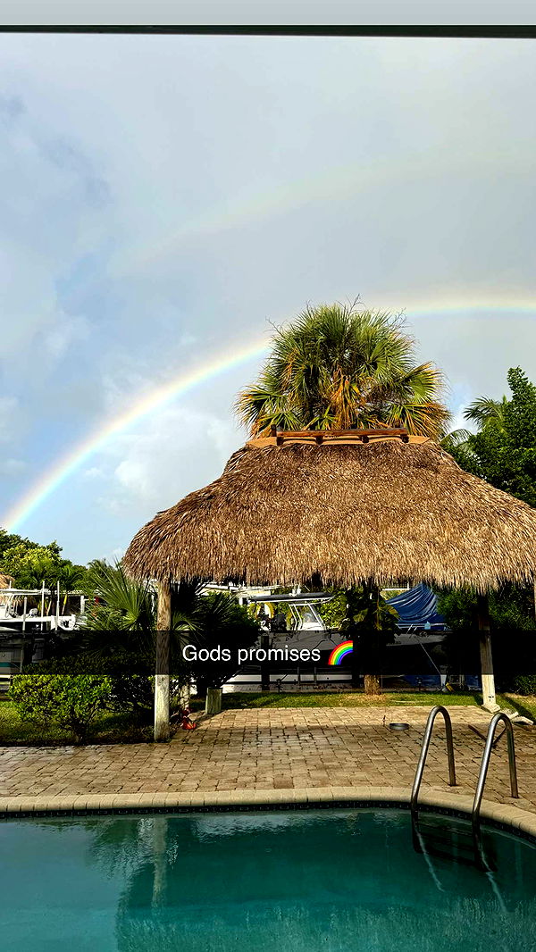 alisonbowles image ~ Altpins