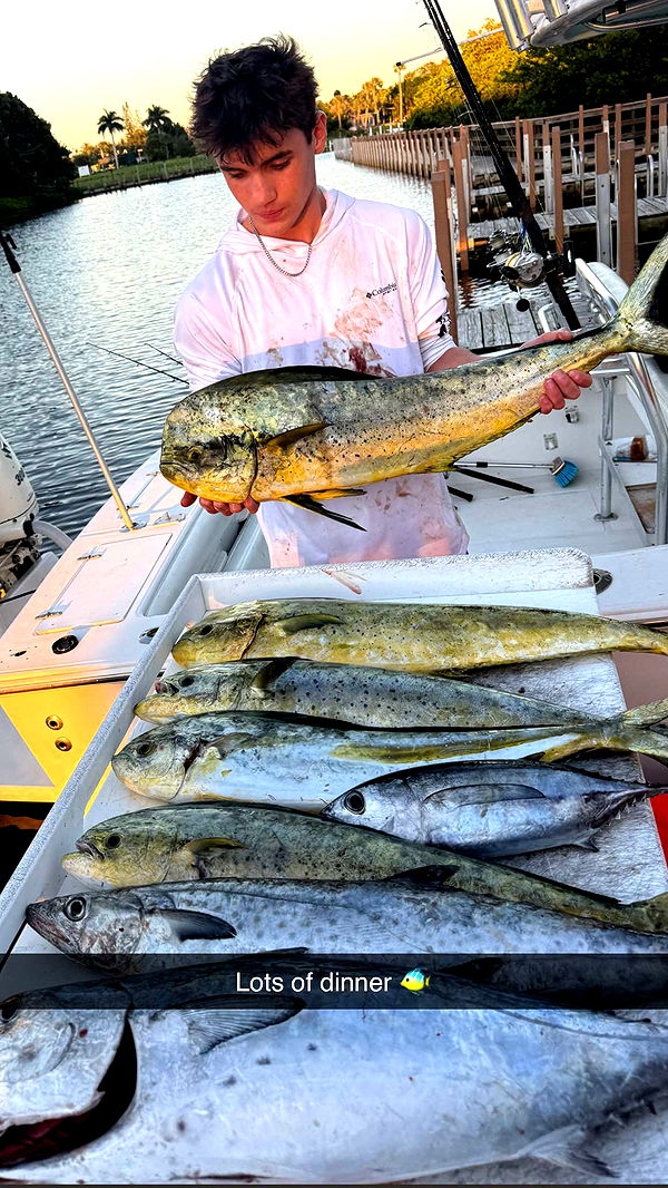 alisonbowles image ~ Altpins