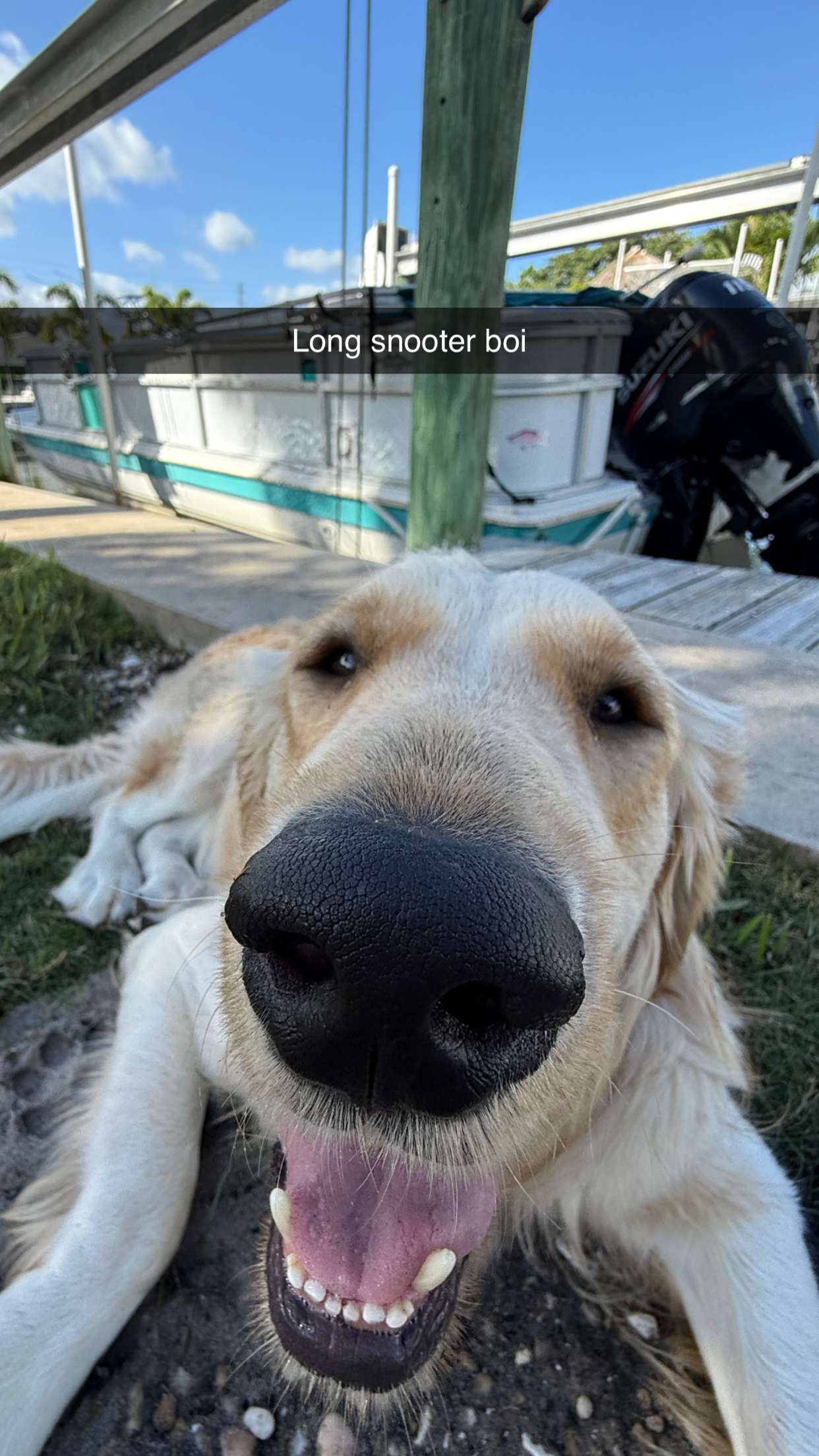 alisonbowles snapchat image archive image