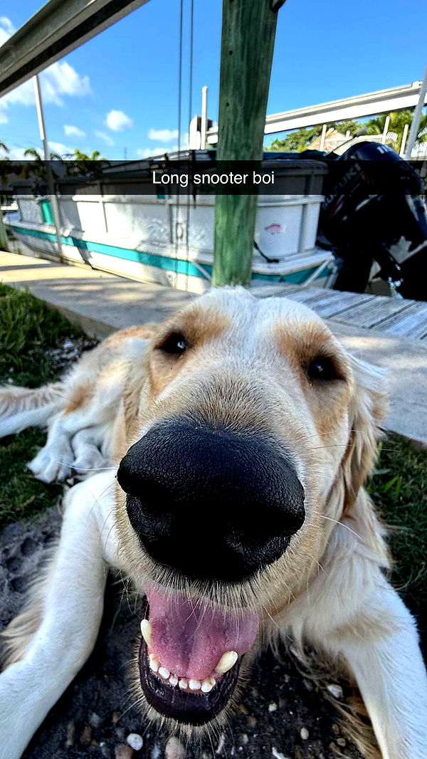 alisonbowles image ~ Altpins