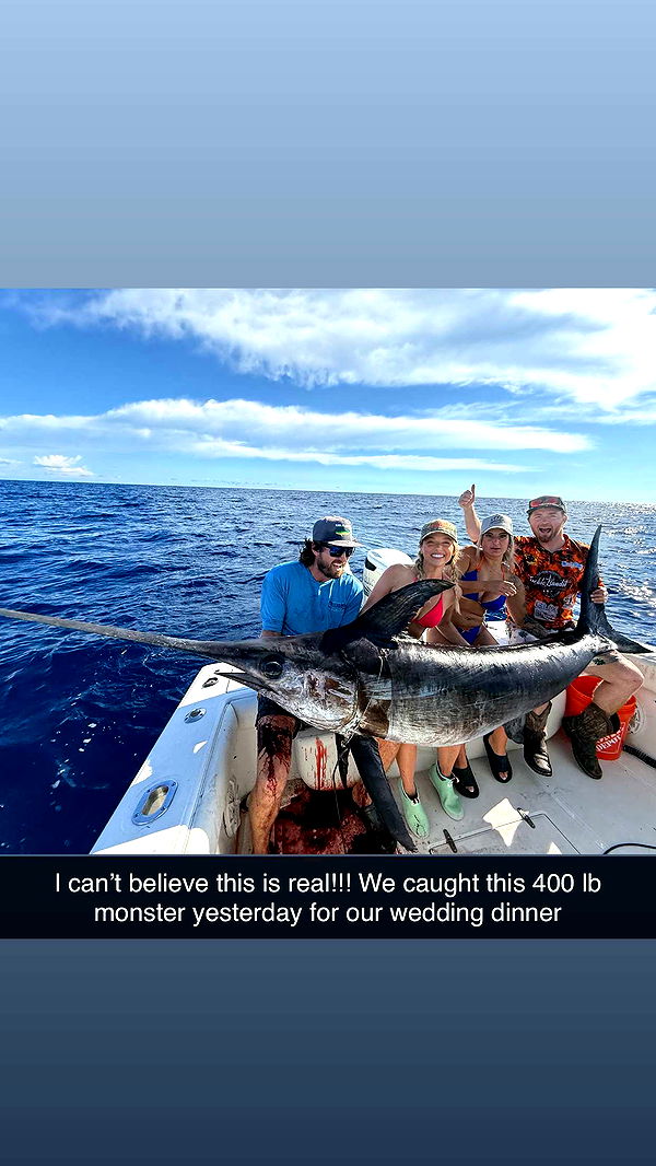 alisonbowles image ~ Altpins