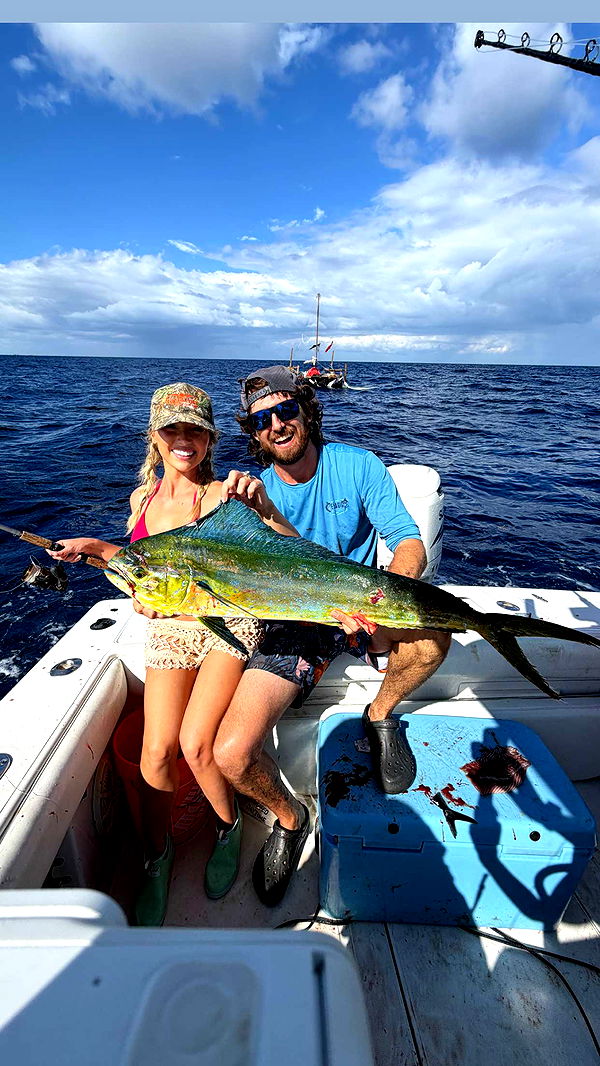 alisonbowles image ~ Altpins